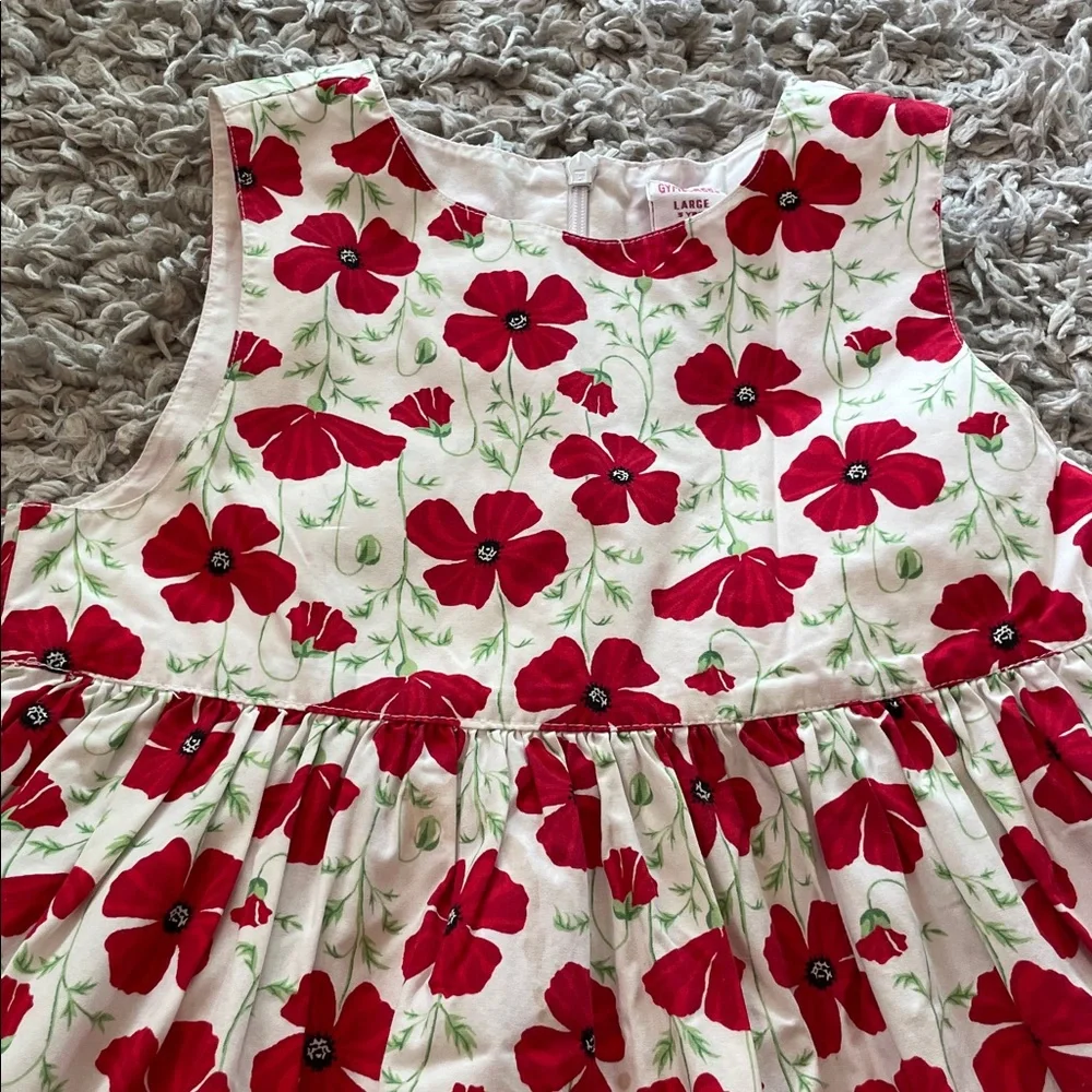 Vintage 2003 Gymboree “Poppies” Poppy Dress, Size 5
